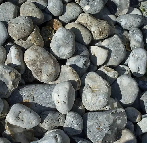 מלון Le De L'ocean